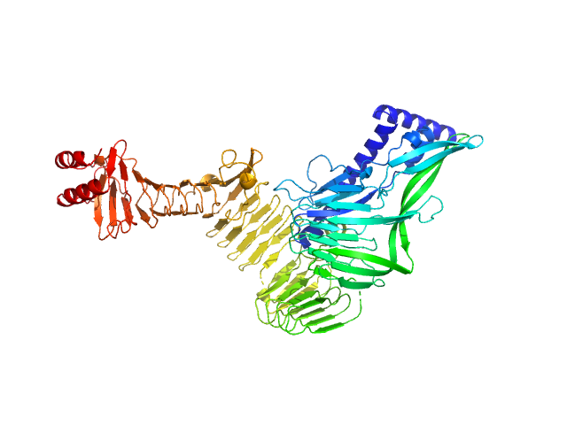 Double-acylated variant of a genetic fusion comprising the C-terminal folding scaffold of RTX block V (residues 1562–1681 of CyaA) and the CyaA residues 719–1294 EOM/RANCH model