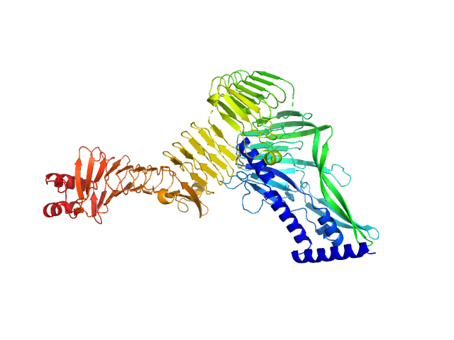 Double-acylated variant of a genetic fusion comprising the C-terminal folding scaffold of RTX block V (residues 1562–1681 of CyaA) and the CyaA residues 719–1294 EOM/RANCH model