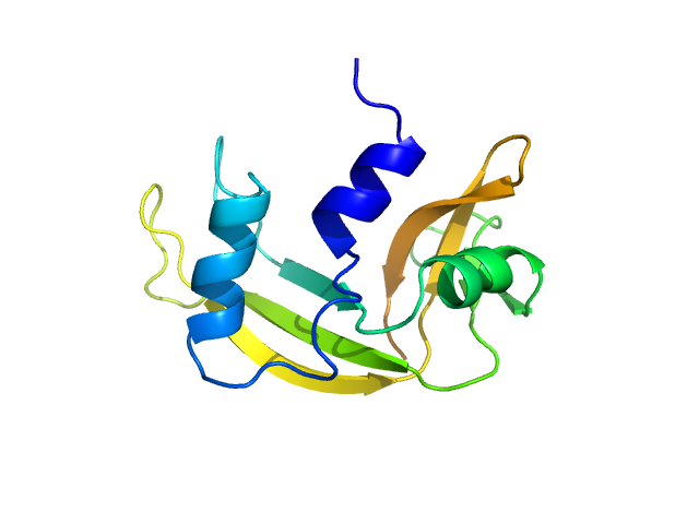 Ribonuclease pancreatic WAXSIS model