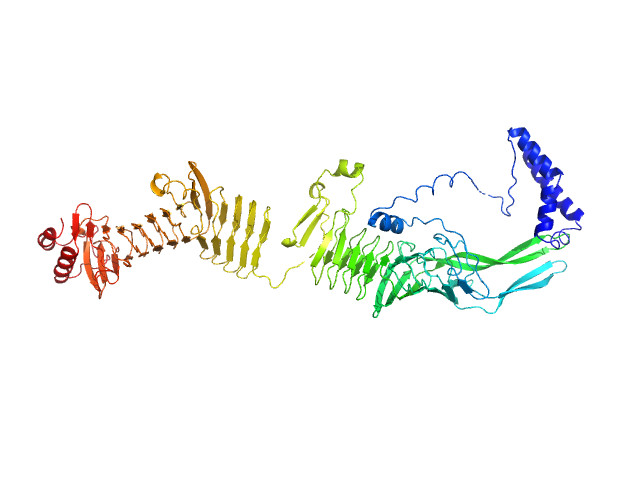 Mono-acylated variant of a genetic fusion comprising the C-terminal folding scaffold of RTX block V (residues 1562–1681 of CyaA) and the CyaA residues 719–1294 EOM/RANCH model