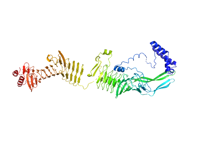 Mono-acylated variant of a genetic fusion comprising the C-terminal folding scaffold of RTX block V (residues 1562–1681 of CyaA) and the CyaA residues 719–1294 EOM/RANCH model