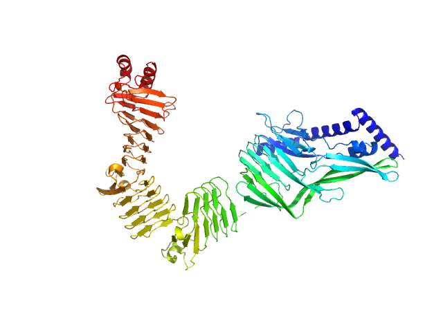 Mono-acylated variant of a genetic fusion comprising the C-terminal folding scaffold of RTX block V (residues 1562–1681 of CyaA) and the CyaA residues 719–1294 EOM/RANCH model