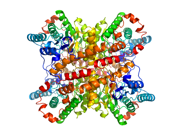 Xylose isomerase PDB (PROTEIN DATA BANK) model