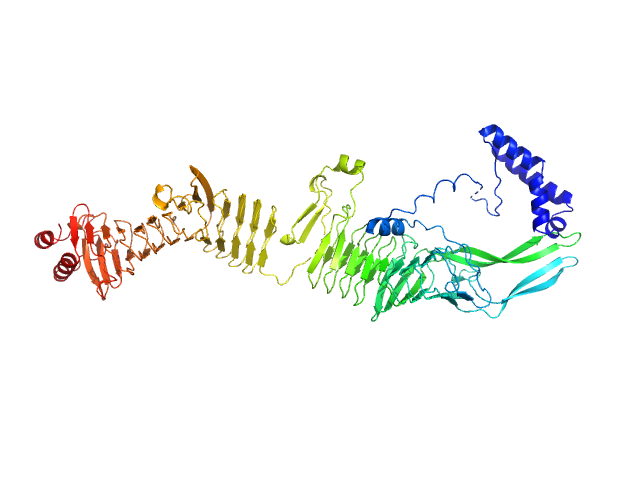 Non-acylated variant of a genetic fusion comprising the C-terminal folding scaffold of RTX block V (residues 1562–1681 of CyaA) and the CyaA residues 719–1294 EOM/RANCH model