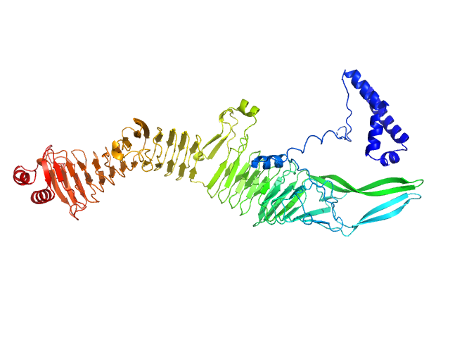 Non-acylated variant of a genetic fusion comprising the C-terminal folding scaffold of RTX block V (residues 1562–1681 of CyaA) and the CyaA residues 719–1294 EOM/RANCH model
