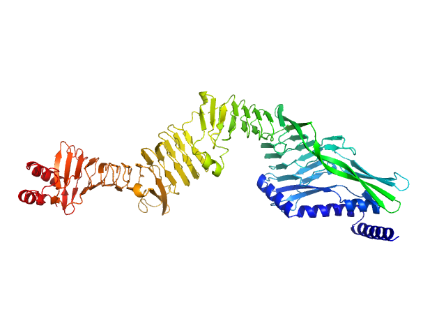 Non-acylated variant of a genetic fusion comprising the C-terminal folding scaffold of RTX block V (residues 1562–1681 of CyaA) and the CyaA residues 719–1294 EOM/RANCH model