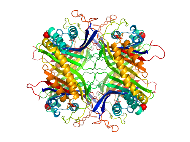 Uricase PDB (PROTEIN DATA BANK) model