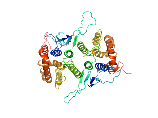 Glutamate--tRNA ligase OLIGOMER model