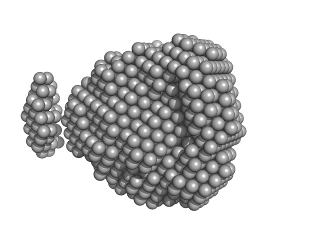 Fructokinase, PfkB DAMMIF model