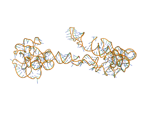 Thermoanearobacter tengcongensis (Tte) fecB riboswitch aptamer domain OTHER model