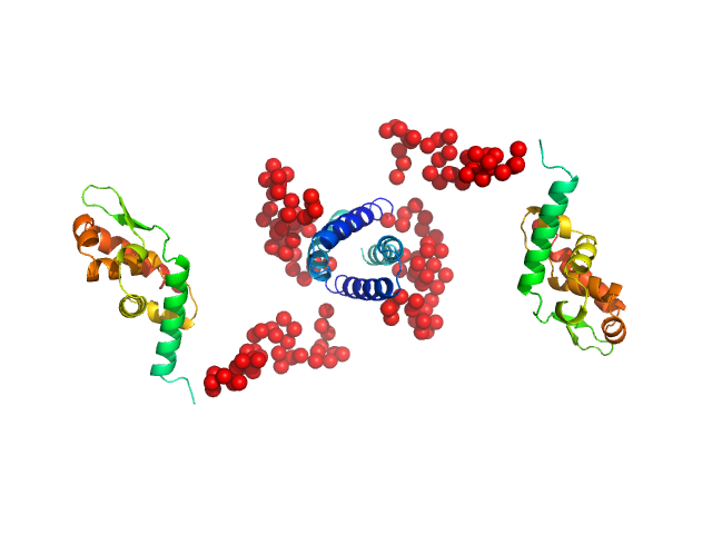 Attenuated derivative P3 of Phosphoprotein EOM/RANCH model