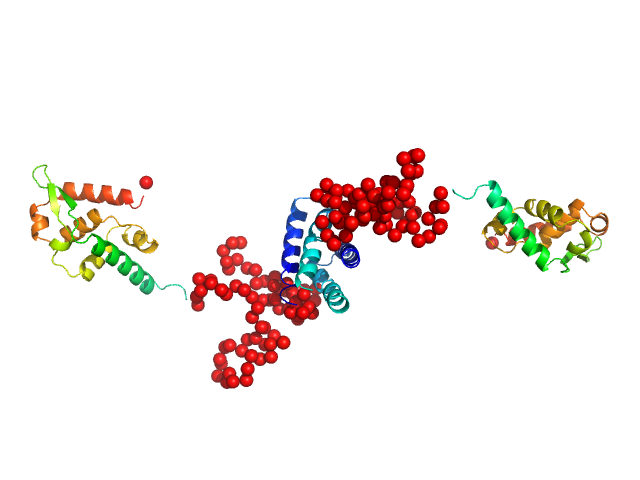 Attenuated derivative P3 of Phosphoprotein EOM/RANCH model