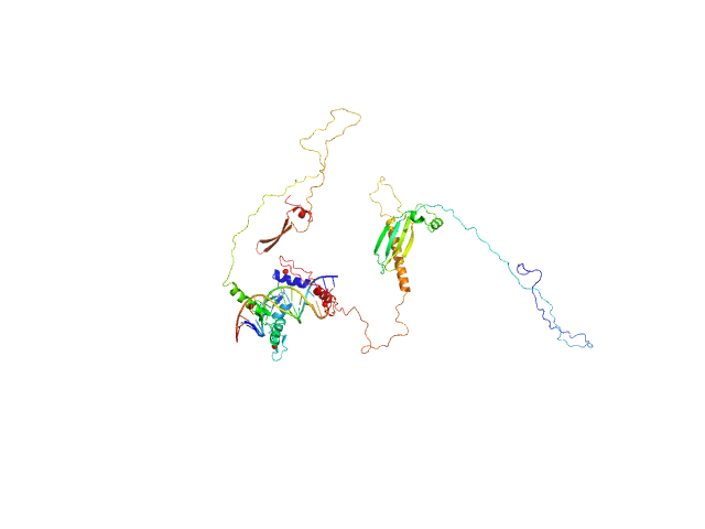 Zinc finger protein 410 DNA (Zinc finger protein 410 recognition sequence) BILBOMD model