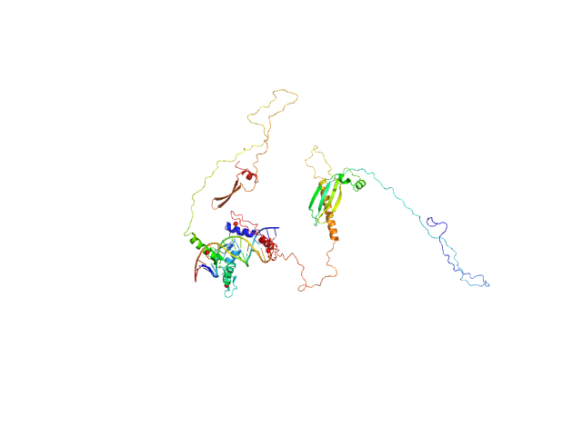 BILBOMD model