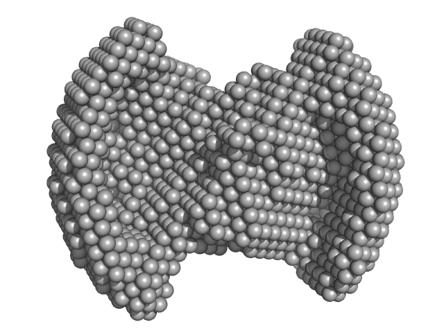 Monekypox DNA sequence 1 DAMMIN model