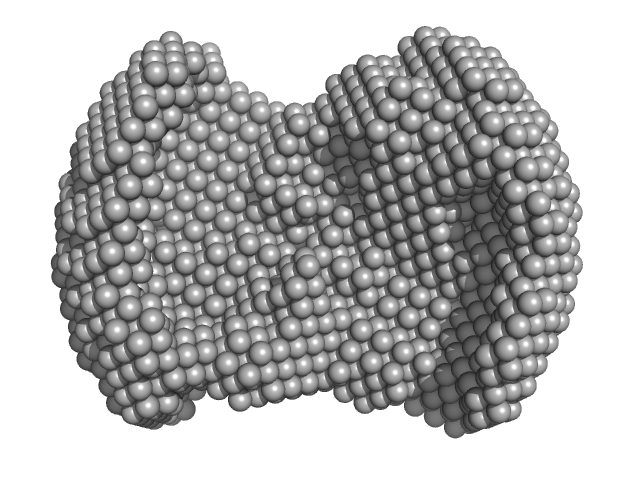 Monekypox DNA sequence 1 DAMMIN model