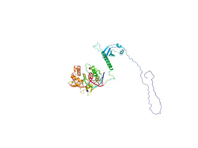 BILBOMD model