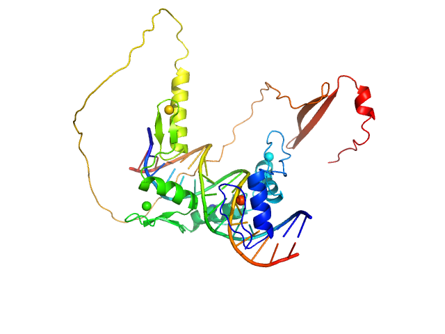 BILBOMD model