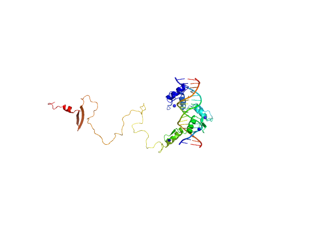 DNA (Zinc finger protein 410 recognition sequence) Zinc finger protein 410 BILBOMD model