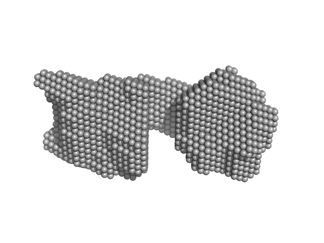 SAVED domain-containing protein DAMMIF model