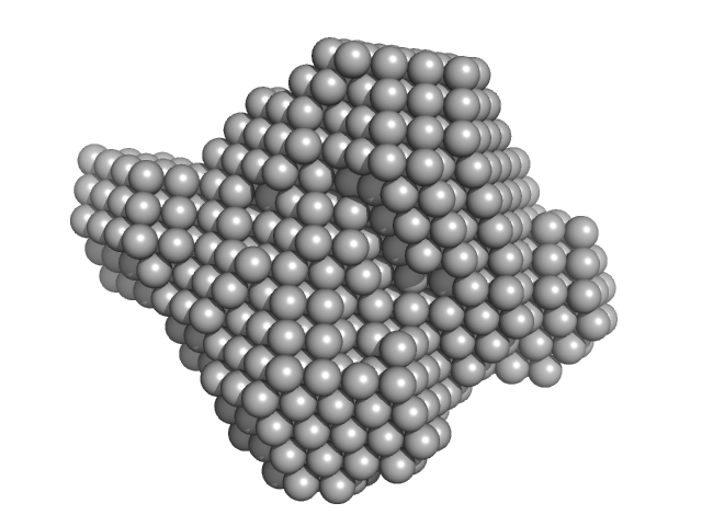 Endo-D-arabinanase DAMMIN model