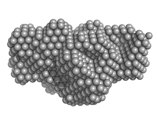 single-chain full Archaeoglobus fulgidus Argonaute variant DAMMIN model