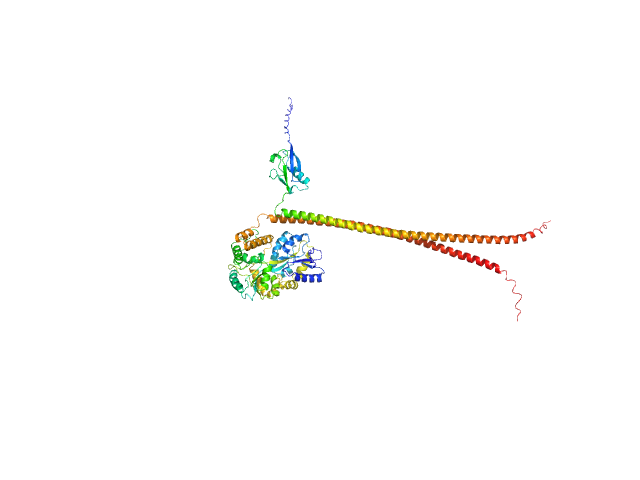 MULTIFOXS model