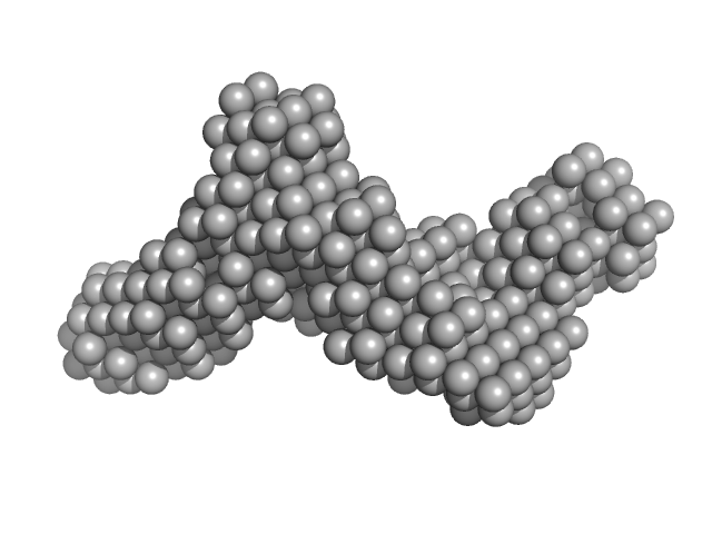 Baculoviral IAP repeat-containing protein 5 DAMMIN model