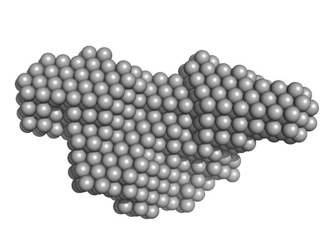 Iron-sulfur cluster co-chaperone protein HscB DAMMIF model