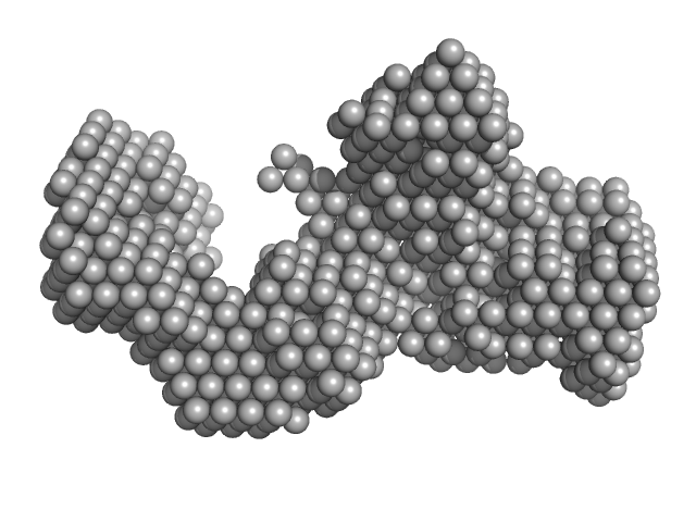 G4 dumbbell RNA - 3' untranslated region (3' UTR) Dengue virus DAMMIN model