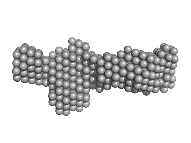 Dumbbell RNA - 3' untranslated region (3' UTR) Dengue virus DAMMIN model