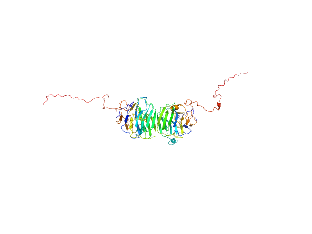 Adhesion G-protein coupled receptor G4 EOM/RANCH model