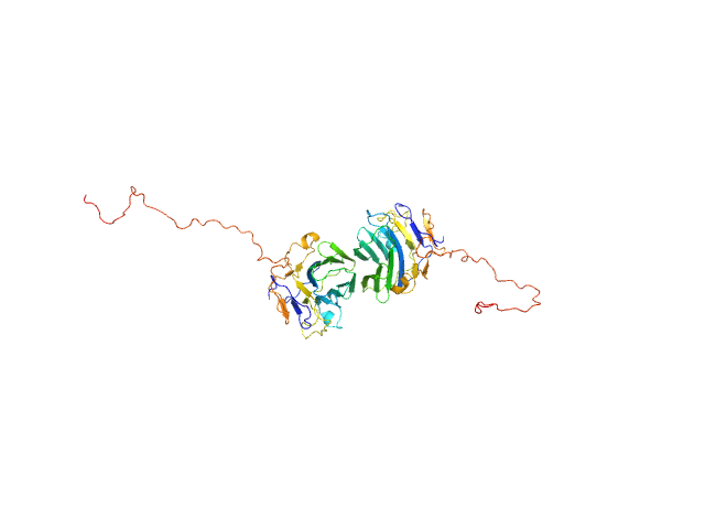 Adhesion G-protein coupled receptor G4 EOM/RANCH model