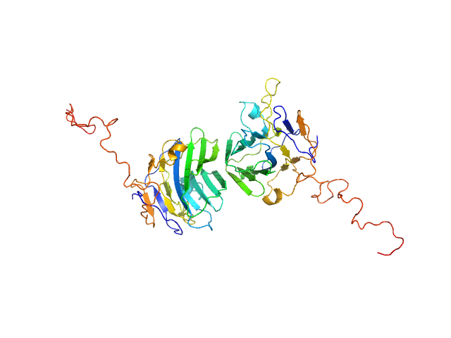 Adhesion G-protein coupled receptor G4 EOM/RANCH model