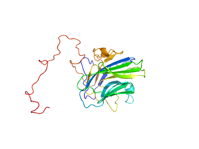Adhesion G-protein coupled receptor G4 EOM/RANCH model