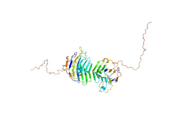 Adhesion G-protein coupled receptor G4 EOM/RANCH model