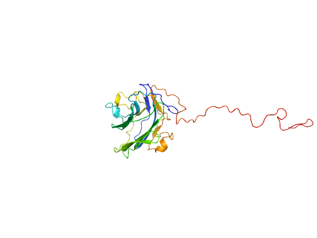 Adhesion G-protein coupled receptor G4 EOM/RANCH model