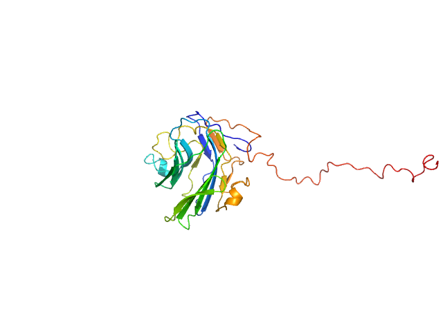 Adhesion G-protein coupled receptor G4 EOM/RANCH model