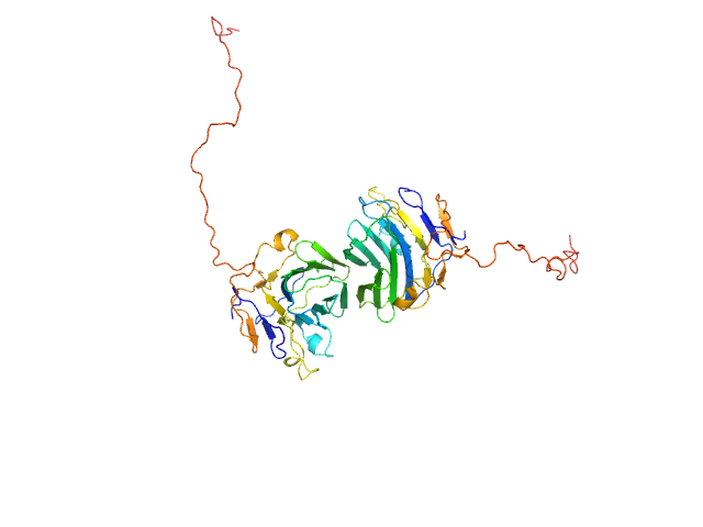 Adhesion G-protein coupled receptor G4 EOM/RANCH model