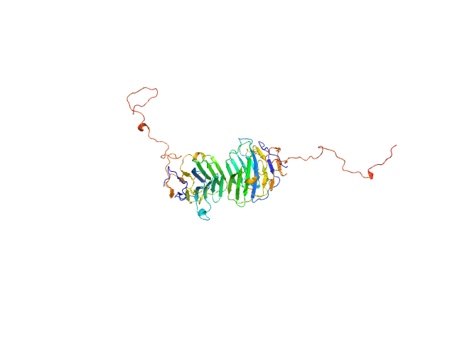 Adhesion G-protein coupled receptor G4 EOM/RANCH model