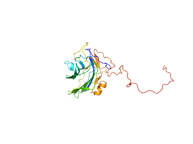 Adhesion G-protein coupled receptor G4 EOM/RANCH model