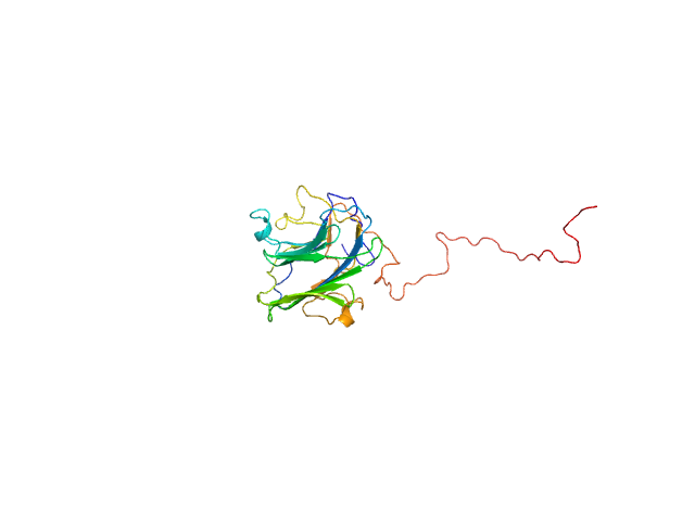 Adhesion G-protein coupled receptor G4 EOM/RANCH model