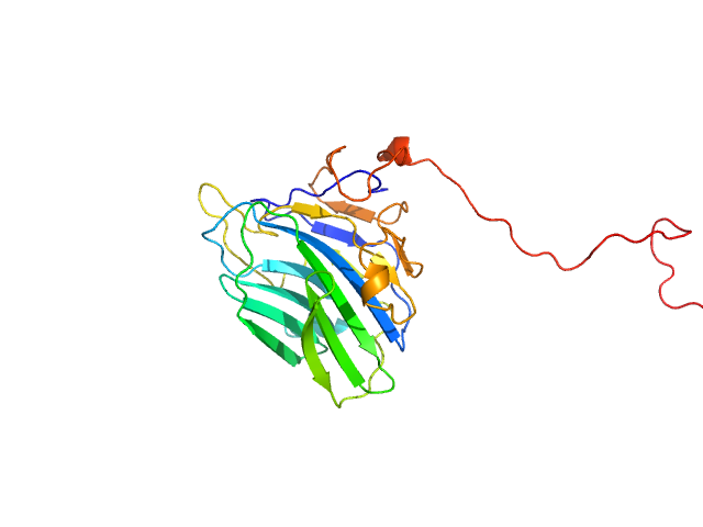 Adhesion G-protein coupled receptor G4 EOM/RANCH model
