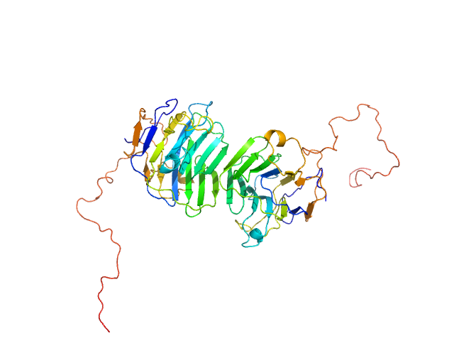 Adhesion G-protein coupled receptor G4 EOM/RANCH model