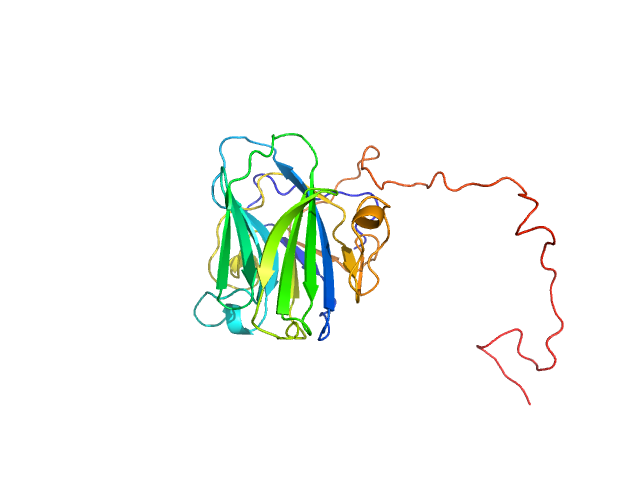 Adhesion G-protein coupled receptor G4 EOM/RANCH model