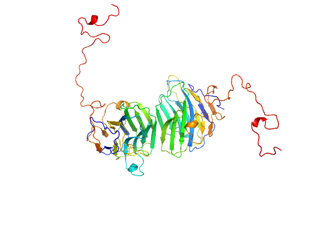 Adhesion G-protein coupled receptor G4 EOM/RANCH model