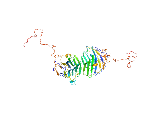 Adhesion G-protein coupled receptor G4 EOM/RANCH model