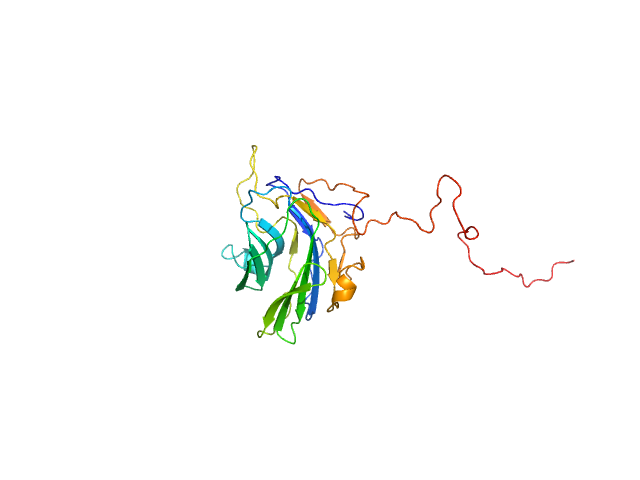 Adhesion G-protein coupled receptor G4 EOM/RANCH model