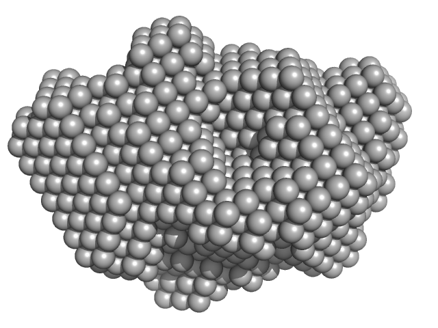 Oplophorus-luciferin 2-monooxygenase catalytic subunit DAMMIN model