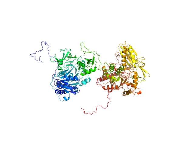 BILBOMD model
